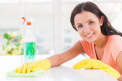 Carpet cleaning quote discussion in a Brentford home