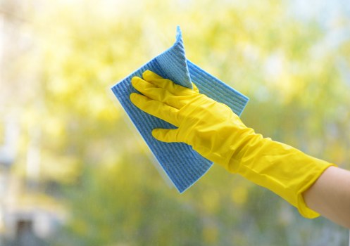 Professional carpet cleaning methods used in Brentford properties