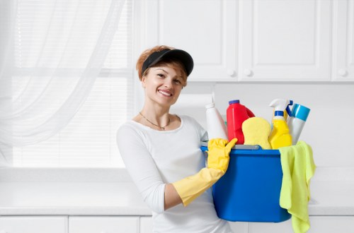 Specialist mattress cleaning equipment used in a Brentford home