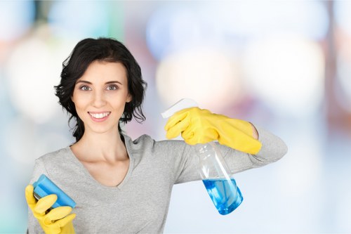 Deep upholstery cleaning removing dust and stains from a sofa