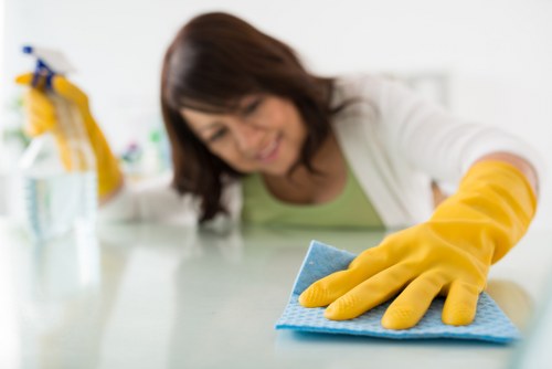Supplier audit and due diligence for Brentford carpet cleaners