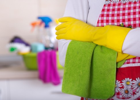 Deep cleaning treatment for pet odours in a Brentford home