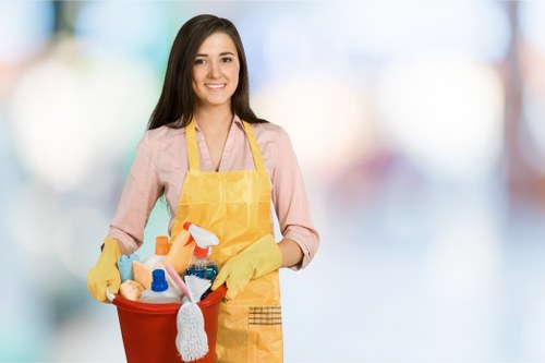 Odour neutralising cleaning process for pet stains in Brentford